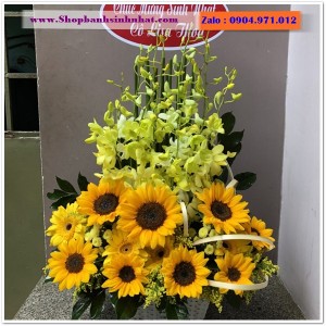 Hoa Tươi Tặng Khai Trương - OK38
